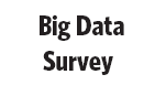 Big Data Survey Result