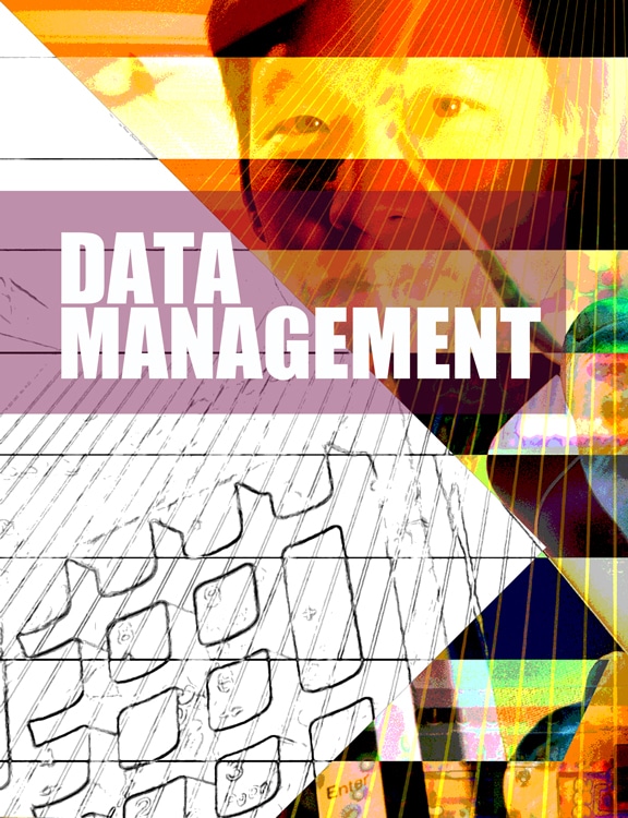 BE39_DATA-MGT_Divider