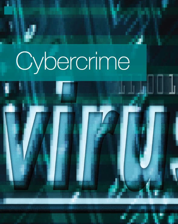 Be45_DIV_Cybercrime