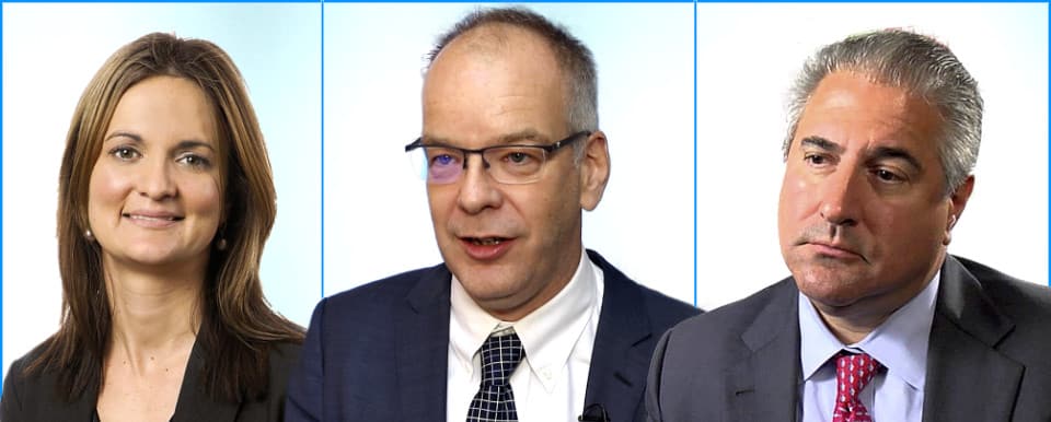 Quinn-Houstoun-Rosato_framed