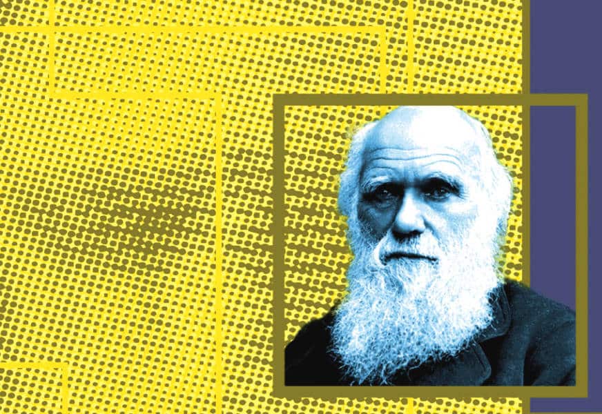 Be52_WEB_DIV_DATA MGT