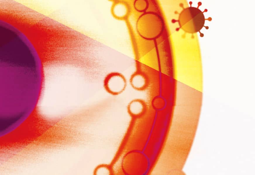 Be52_WEB_DIV_Equities