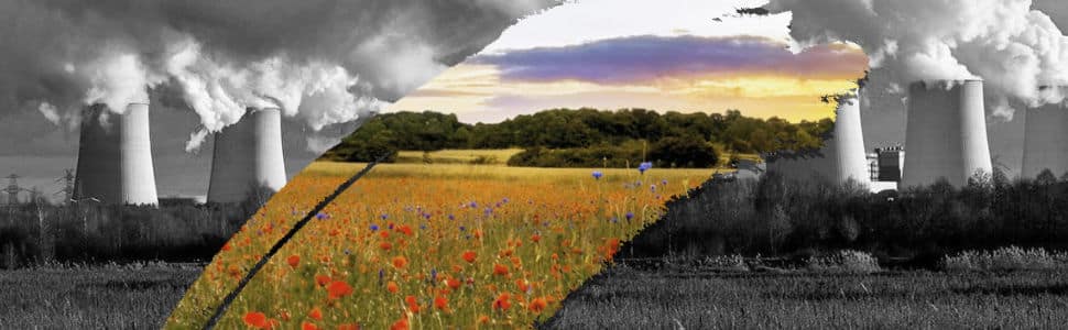 Greenwashing_970x300