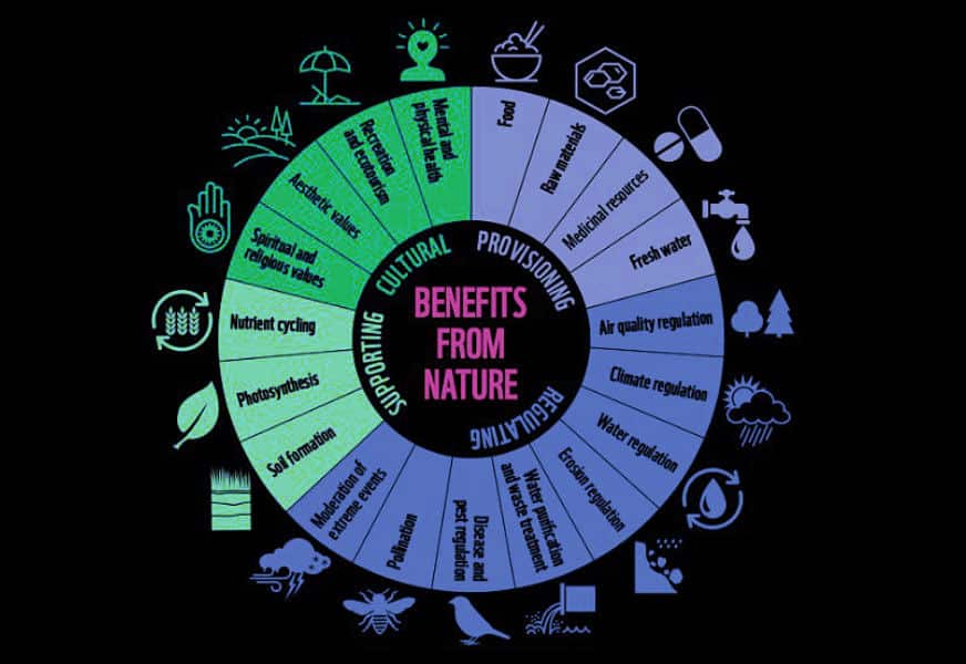 Pie chart_LARGE_872x600_REV