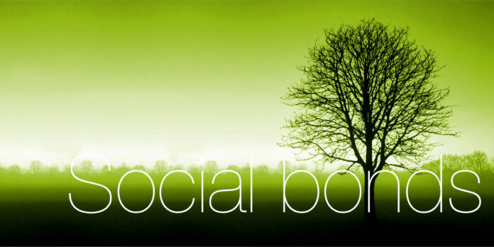 Social Bonds_Tree IVPR_1200x600